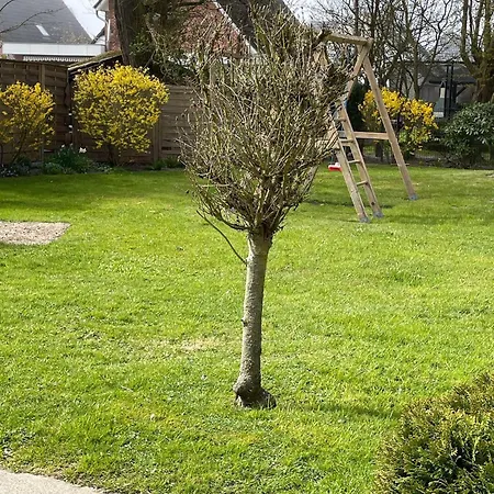 Daire Feriengarten-buesum-a08